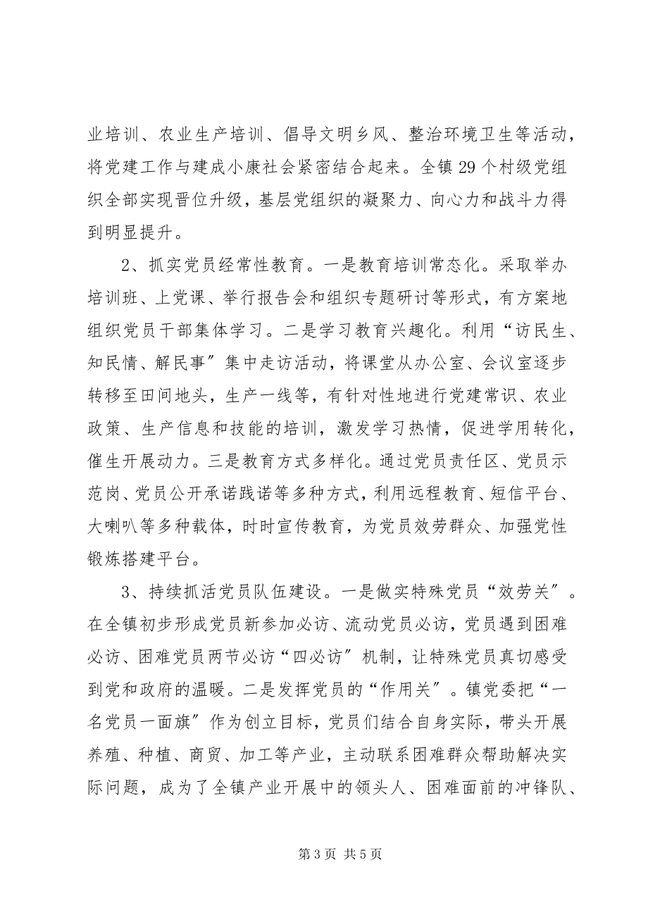 2023年镇委员会自查报告.docx_第3页