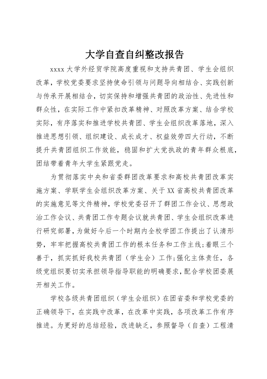 2023年大学自查自纠整改报告.docx_第1页