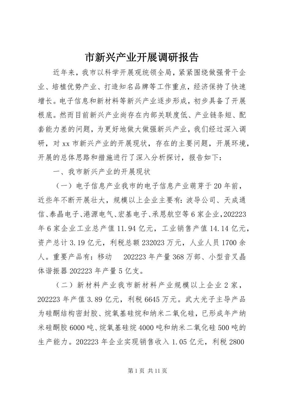 2023年市新兴产业发展调研报告.docx_第1页