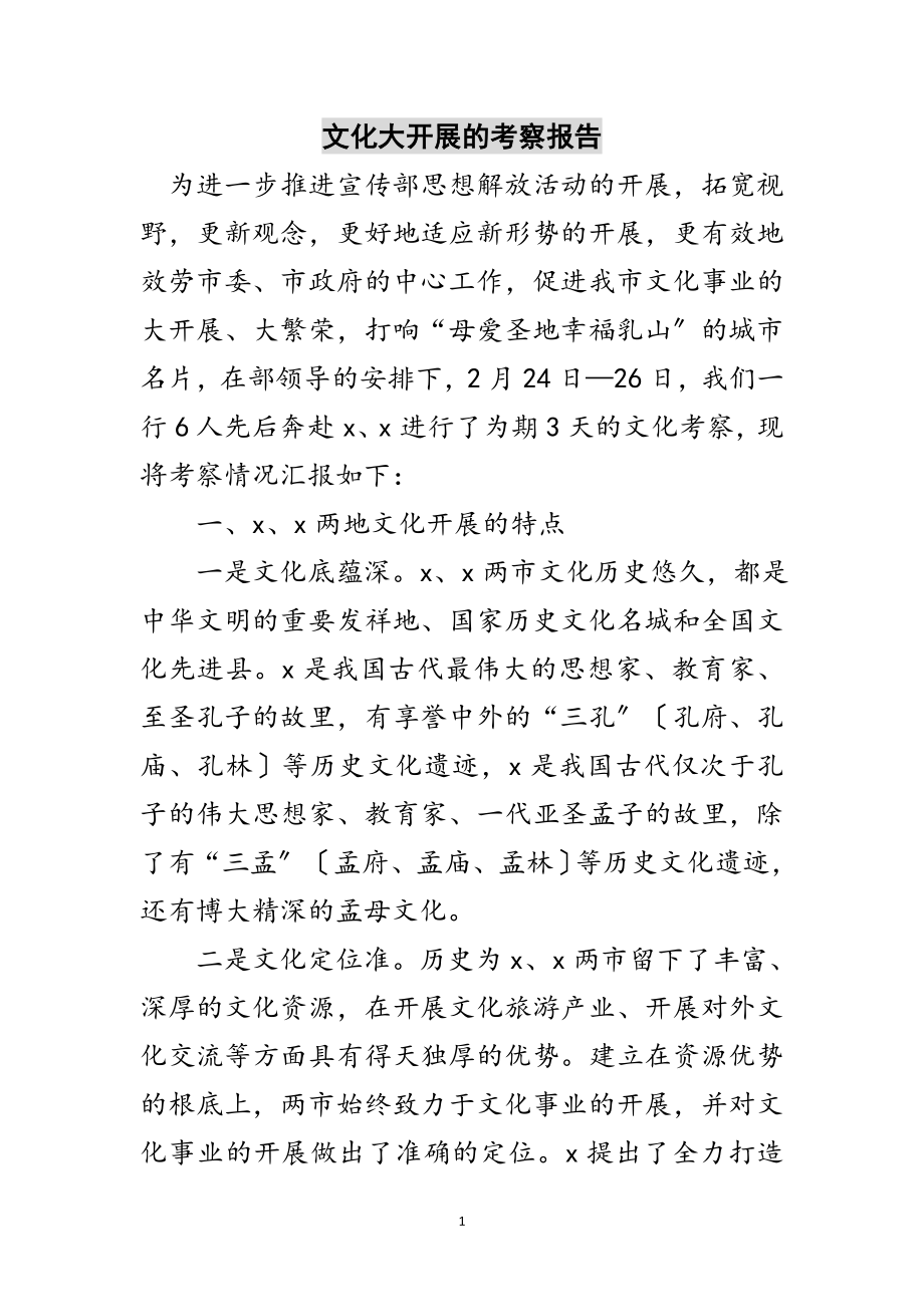 2023年文化大发展的考察报告范文.doc_第1页