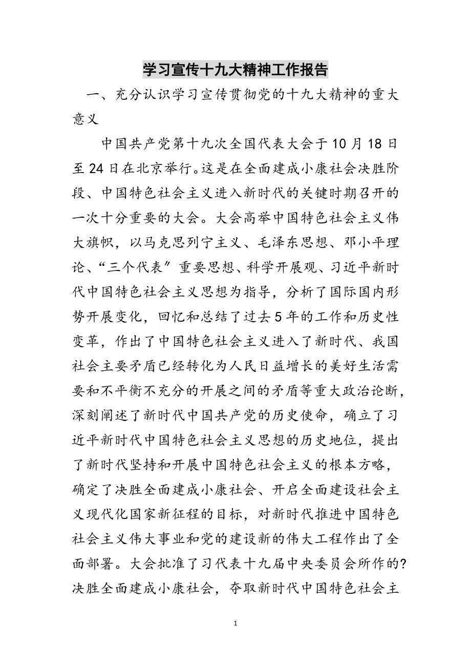 2023年学习宣传十九大精神工作报告范文.doc_第1页