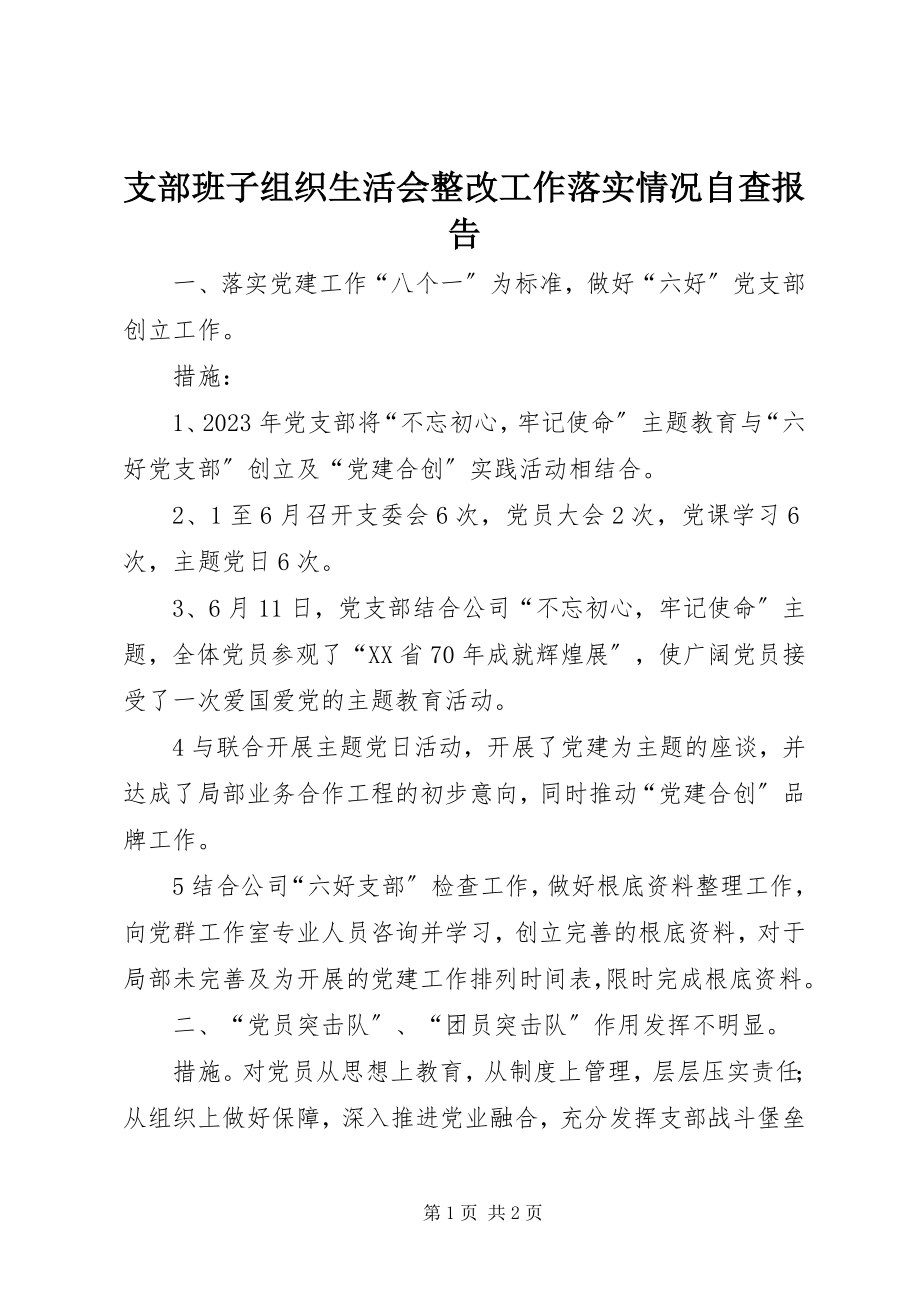 2023年支部班子组织生活会整改工作落实情况自查报告.docx_第1页