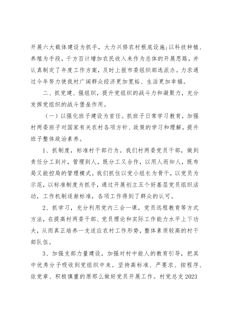 2023年村书记述职报告某年新编.docx_第3页