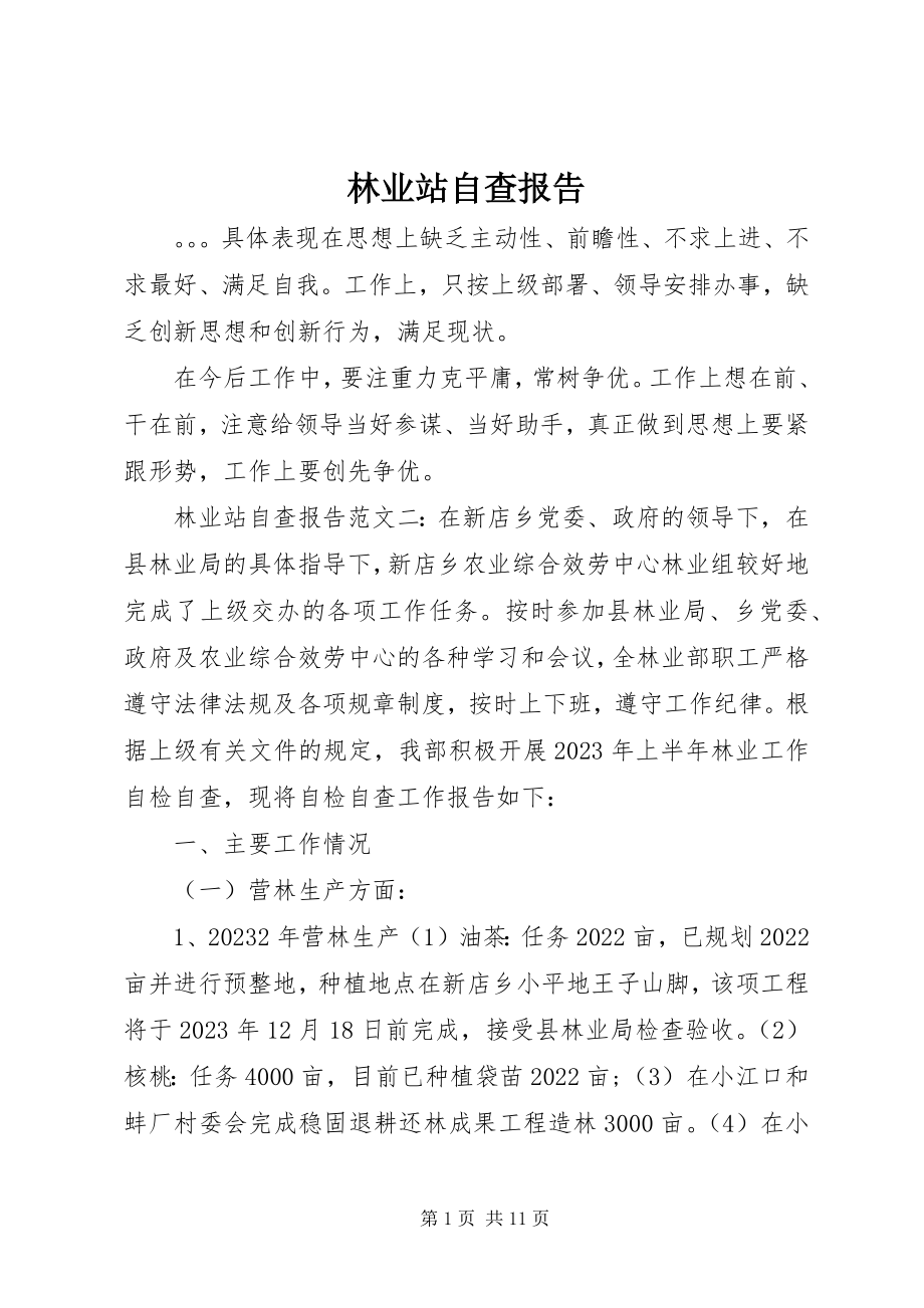 2023年林业站自查报告.docx_第1页