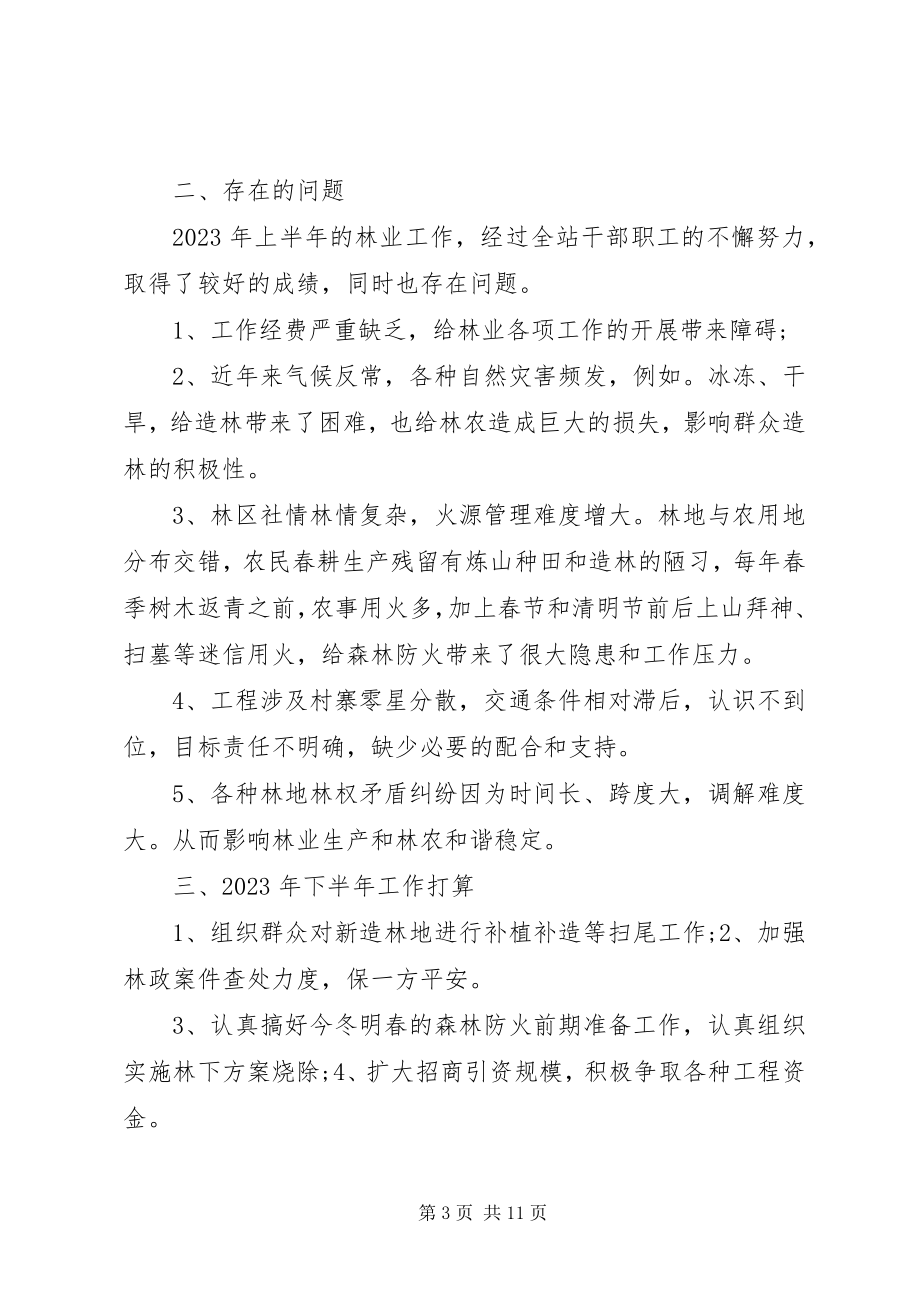 2023年林业站自查报告.docx_第3页