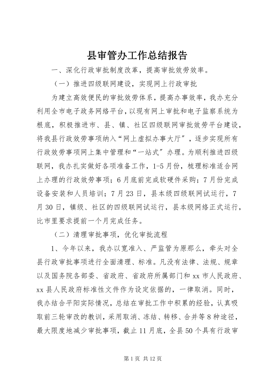 2023年县审管办工作总结报告.docx_第1页