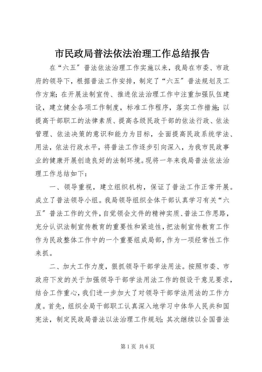 2023年市民政局普法依法治理工作总结报告.docx_第1页