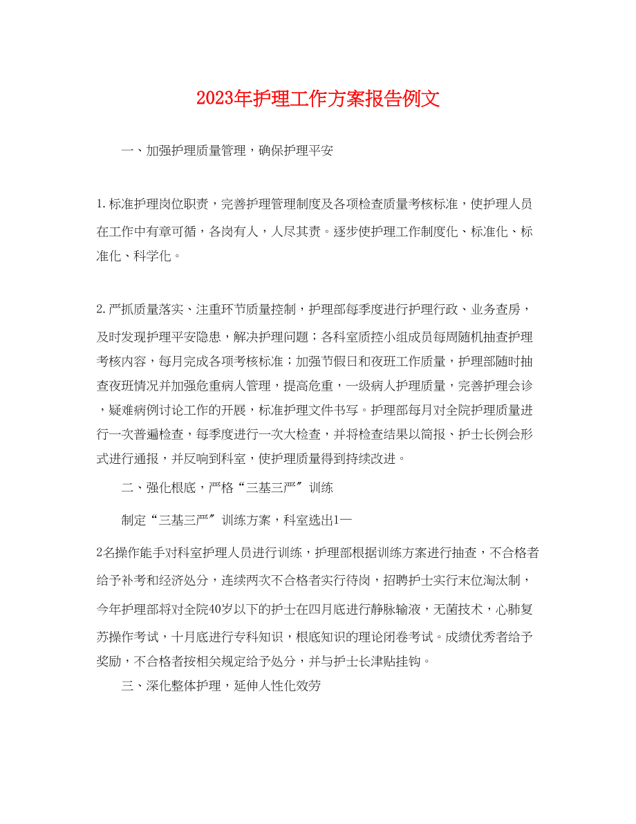 2023年护理工作计划报告例文.docx_第1页