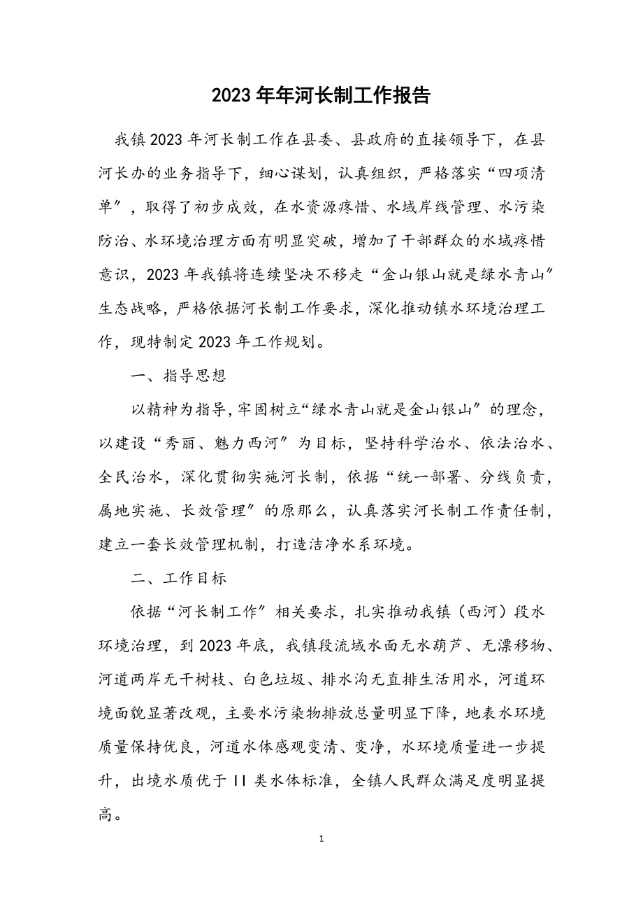 2023年河长制工作计划报告.docx_第1页