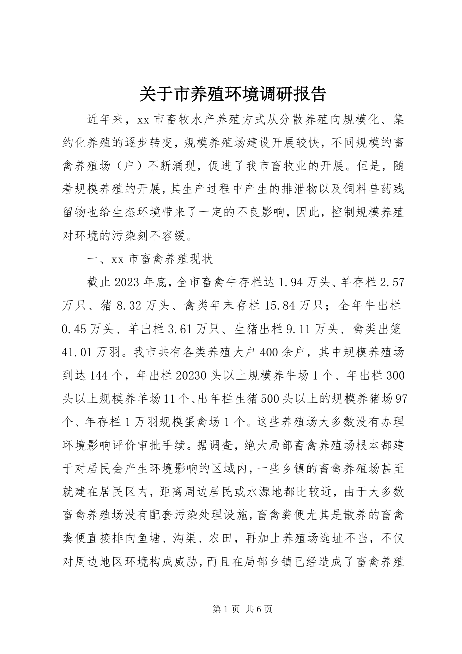 2023年市养殖环境调研报告.docx_第1页