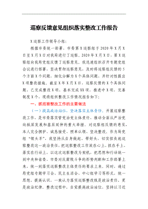 巡察反馈意见组织落实整改工作报告.docx