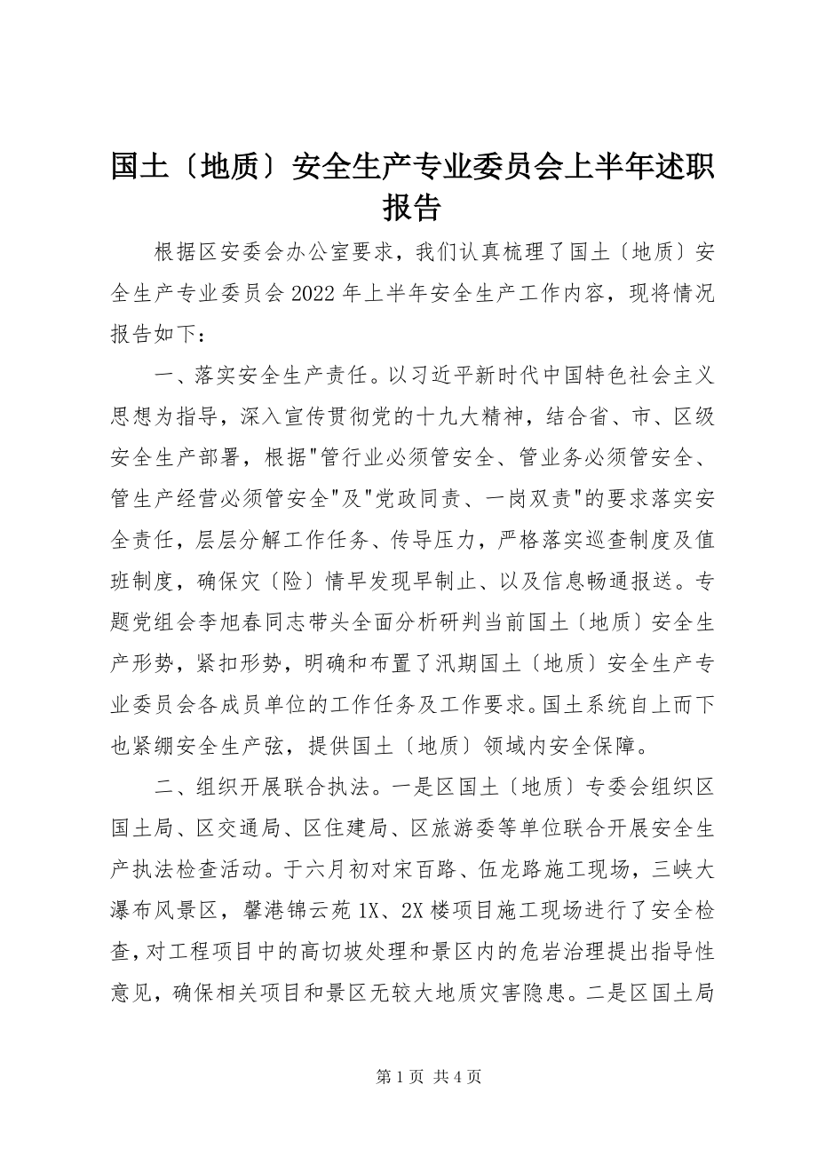 2023年国土安全生产专业委员会上半年述职报告.docx_第1页