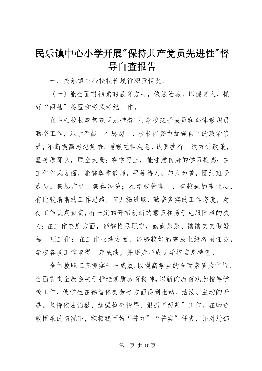 2023年民乐镇中心小学开展保持共产党员先进性督导自查报告.docx_第1页