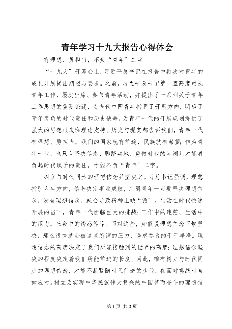 2023年青年学习十九大报告心得体会.docx_第1页