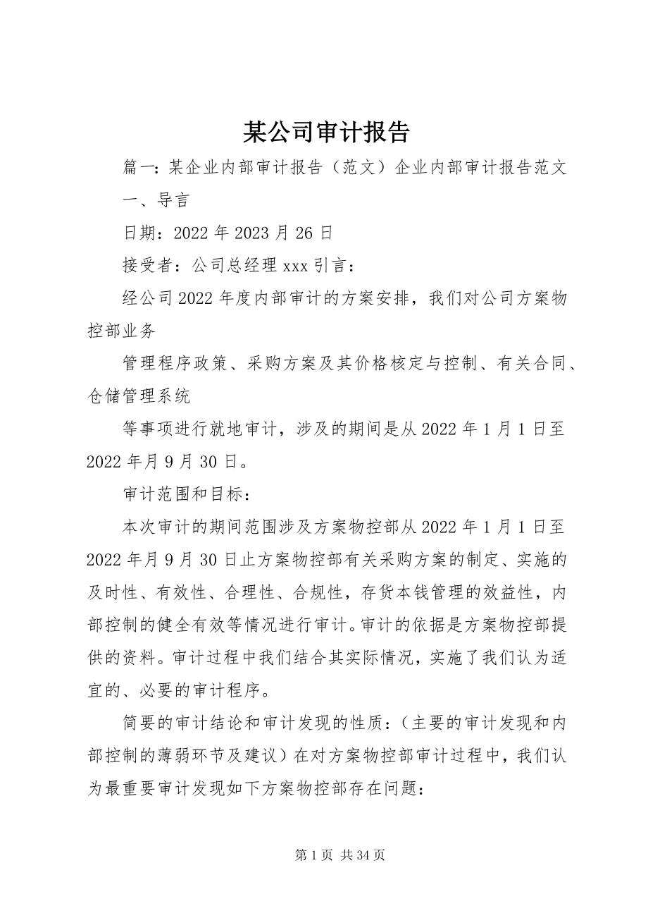 2023年某公司审计报告.docx_第1页