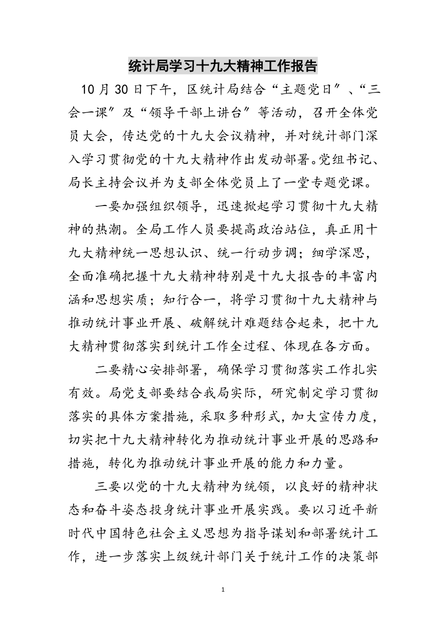 2023年统计局学习十九大精神工作报告范文.doc_第1页