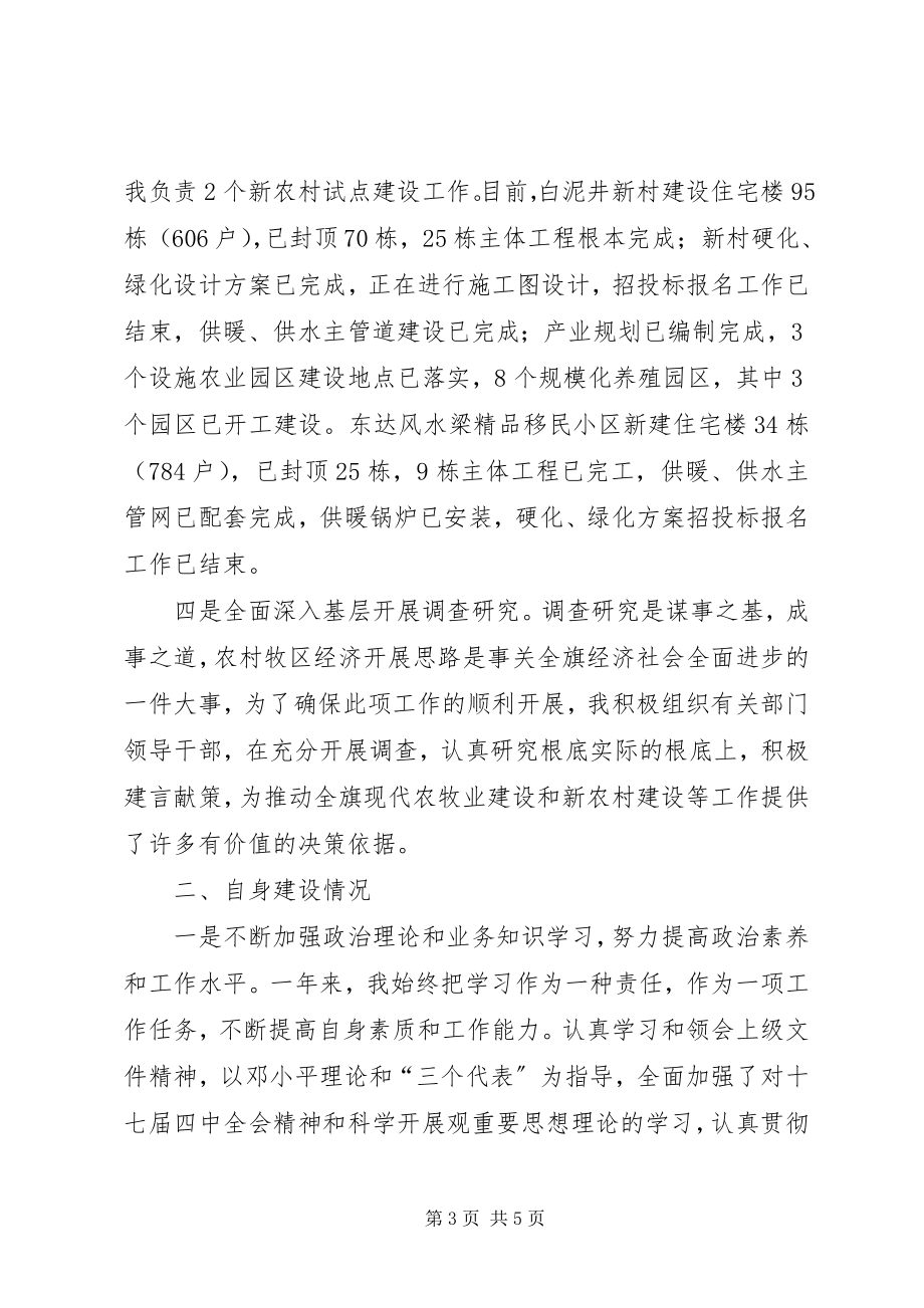 2023年旗人民政府调研员度述职述廉报告.docx_第3页