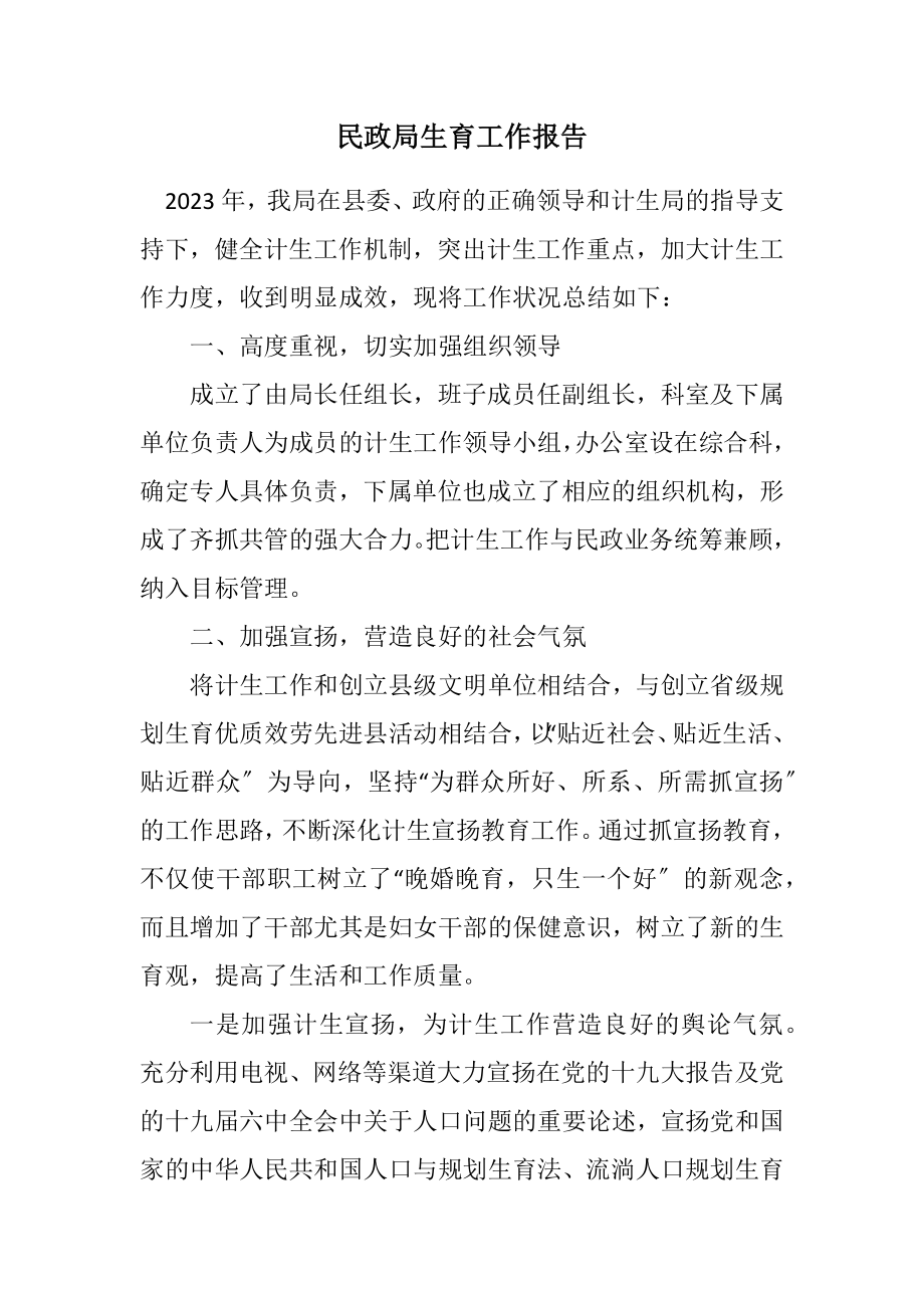 2023年民政局计划生育工作报告.docx_第1页