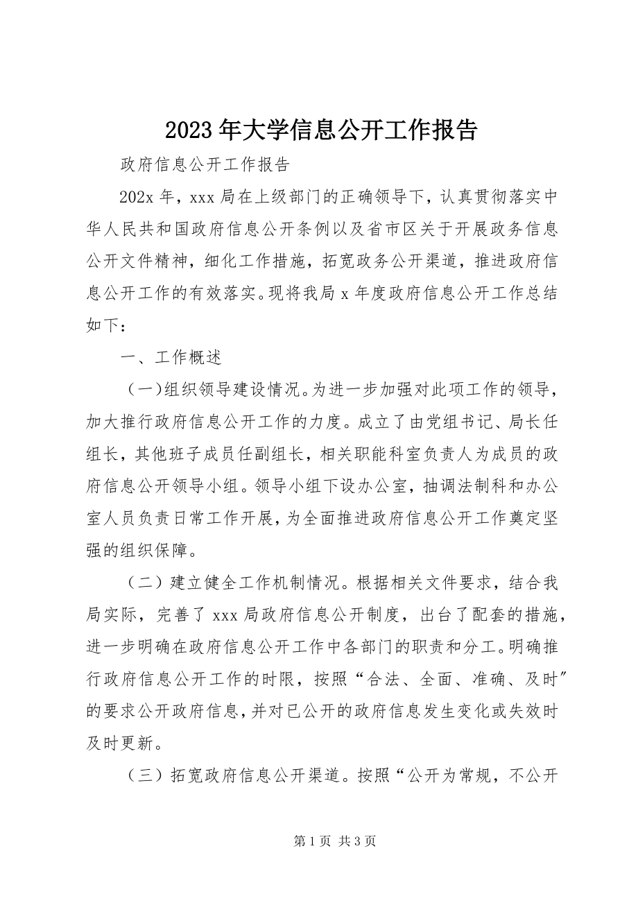 2023年大学信息公开工作报告.docx_第1页