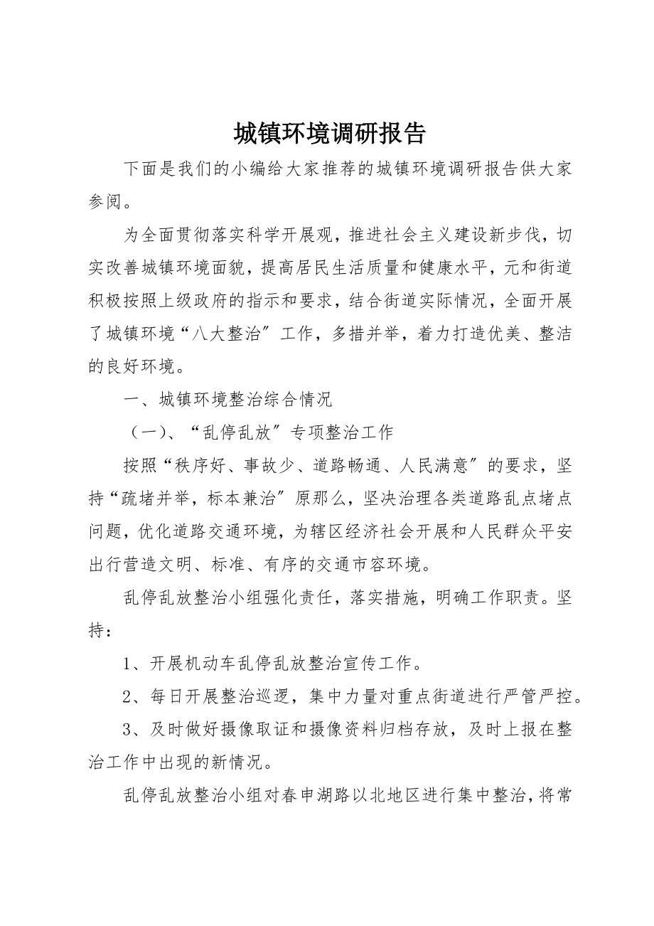 2023年城镇环境调研报告.docx_第1页