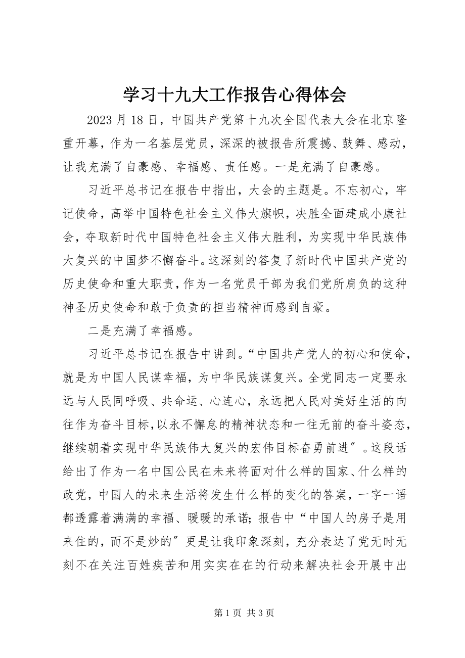 2023年学习十九大工作报告心得体会.docx_第1页