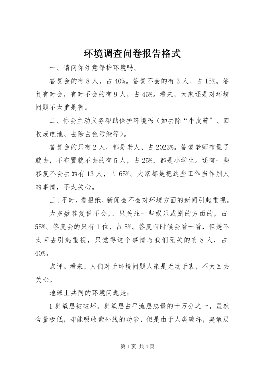 2023年环境调查问卷报告格式.docx_第1页