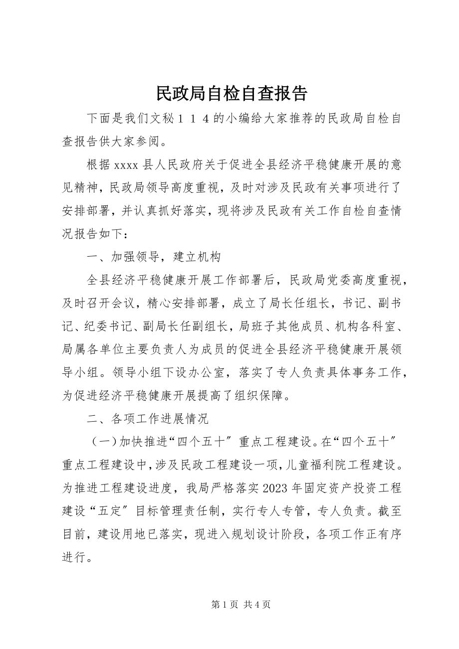 2023年民政局自检自查报告.docx_第1页