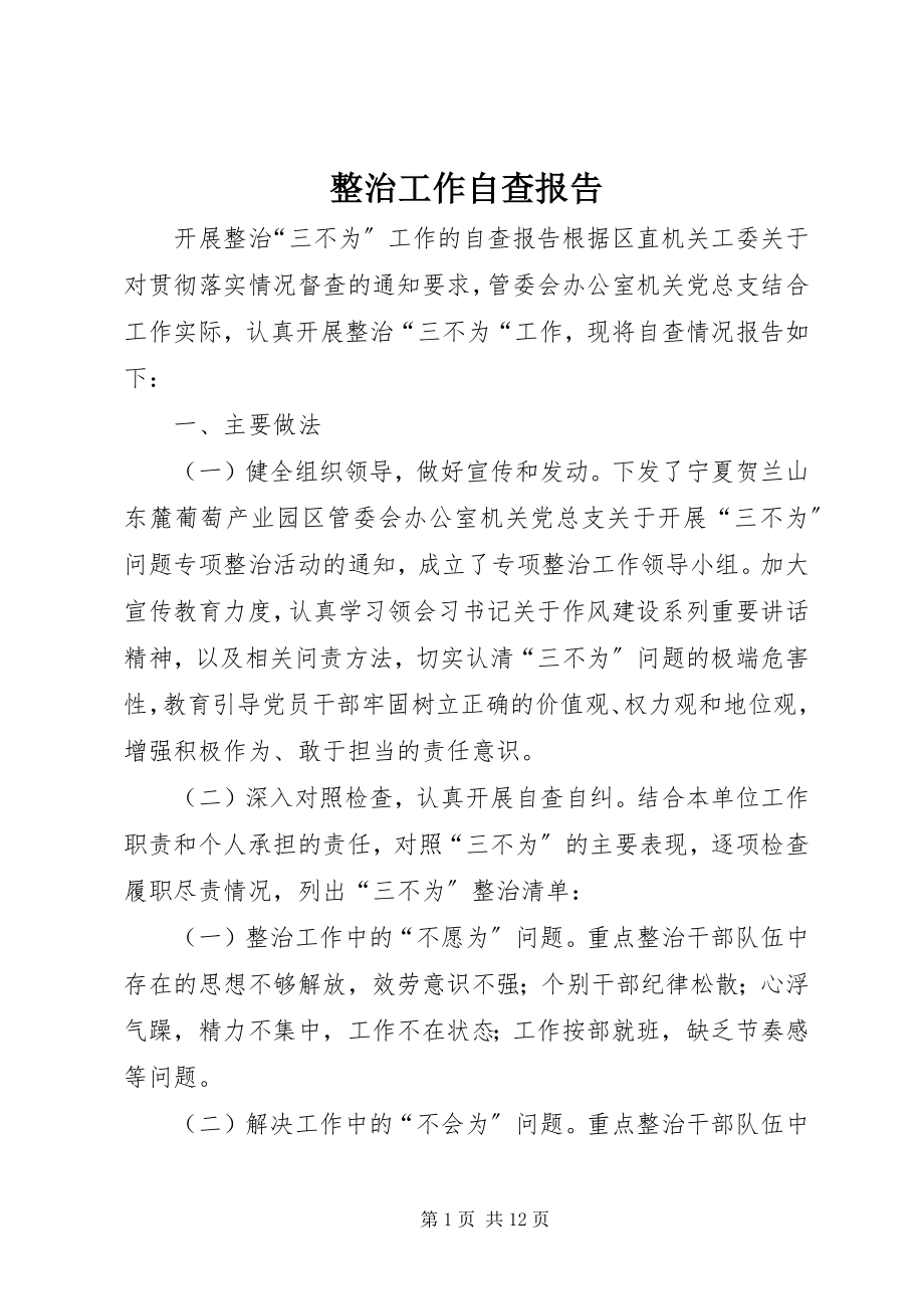 2023年整治工作自查报告.docx_第1页