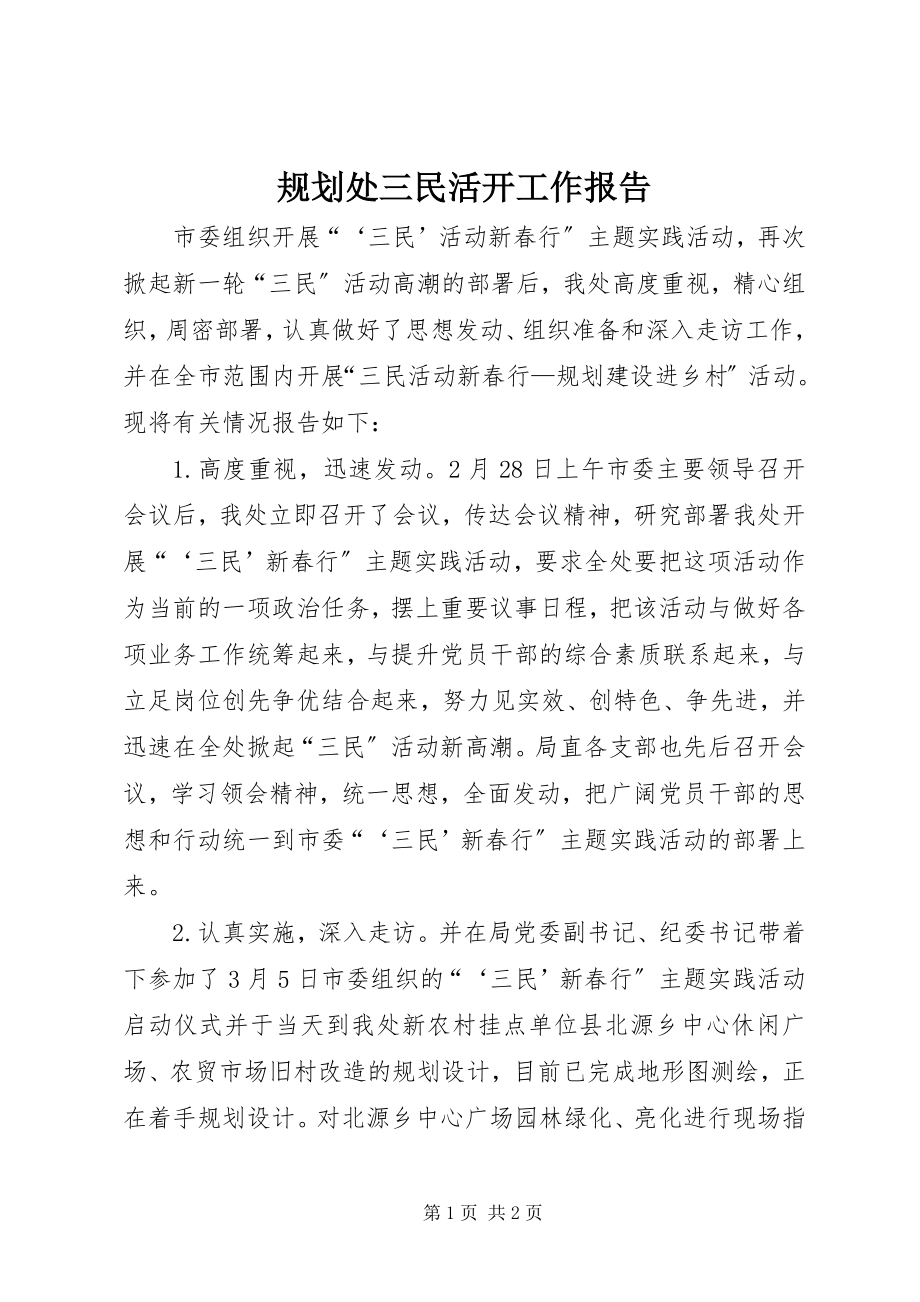 2023年规划处三民活动工作报告.docx_第1页