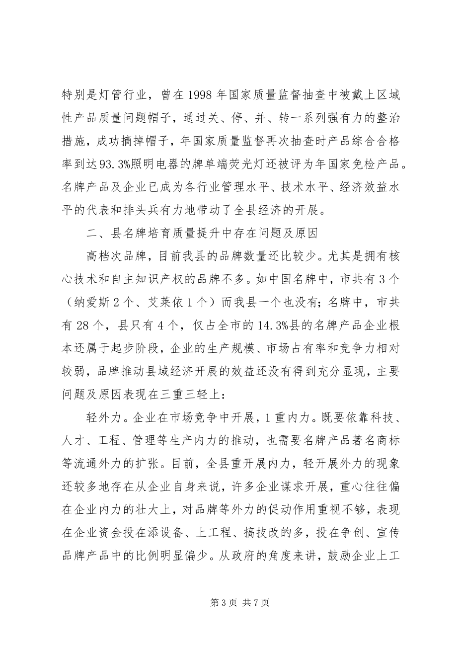 2023年县区名牌质量提升调研报告.docx_第3页