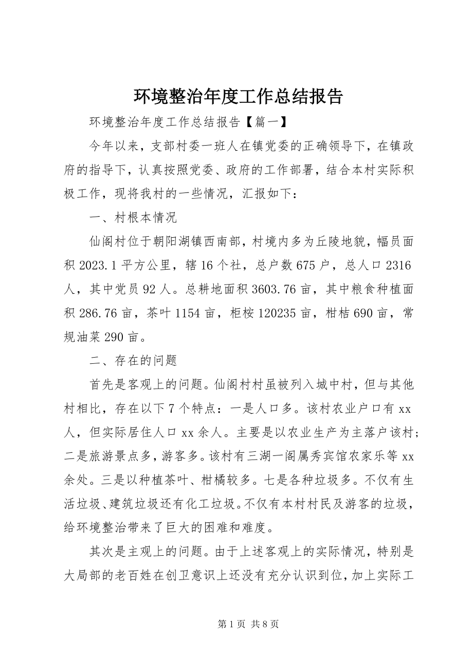 2023年环境整治度工作总结报告.docx_第1页