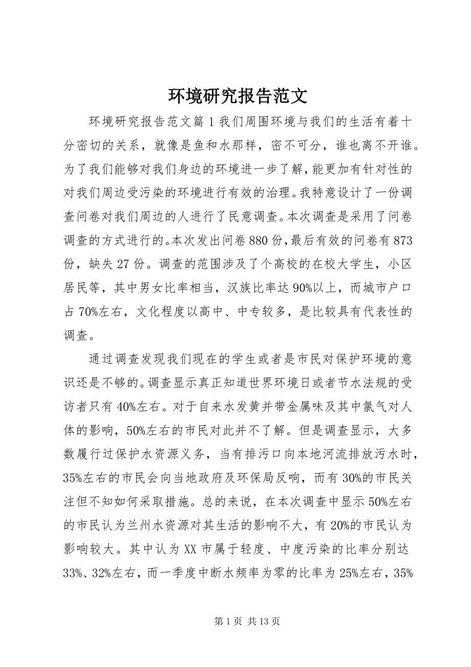 2023年环境研究报告.docx_第1页