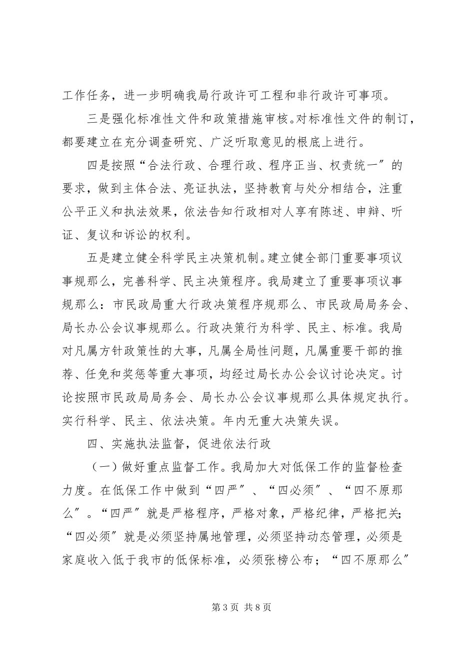 2023年民政局全依法行政报告.docx_第3页