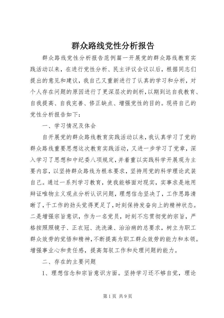 2023年群众路线党性分析报告.docx_第1页