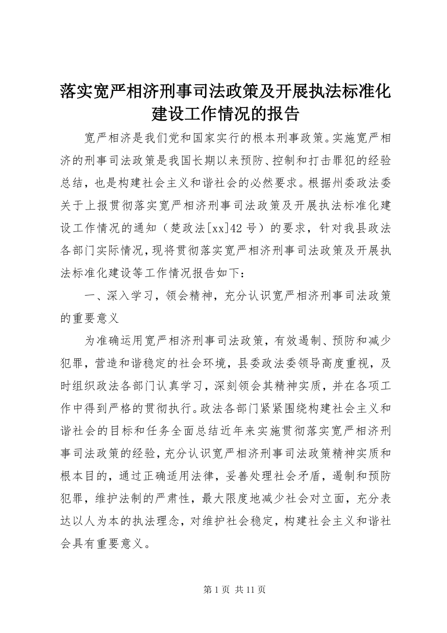 2023年落实宽严相济刑事司法政策及开展执法规范化建设工作情况的报告.docx_第1页