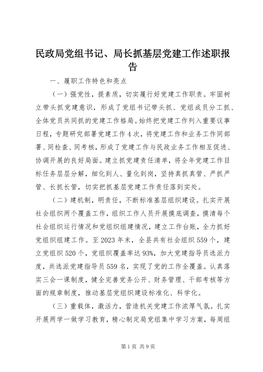 2023年民政局党组书记、局长抓基层党建工作述职报告.docx_第1页