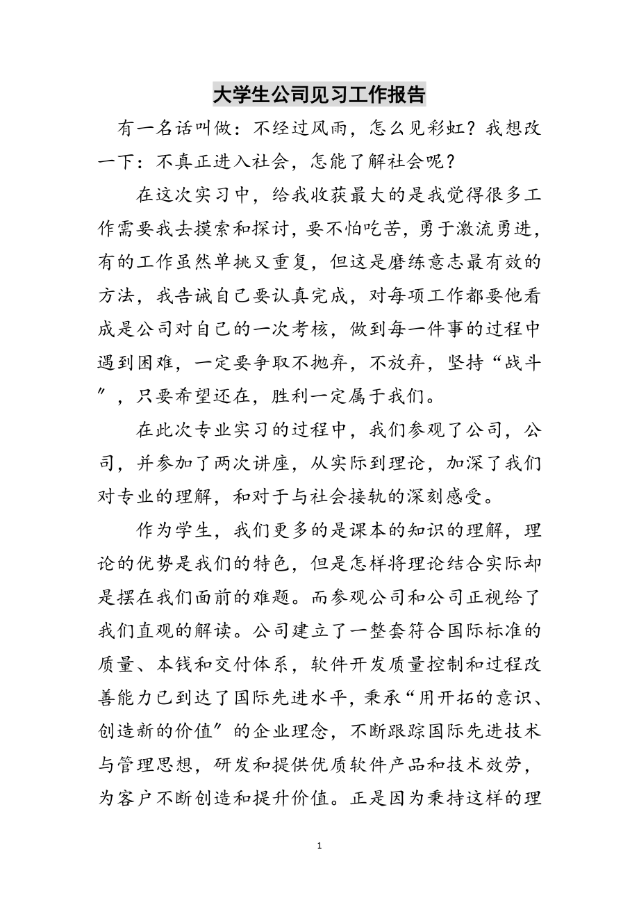 2023年大学生公司见习工作报告范文.doc_第1页