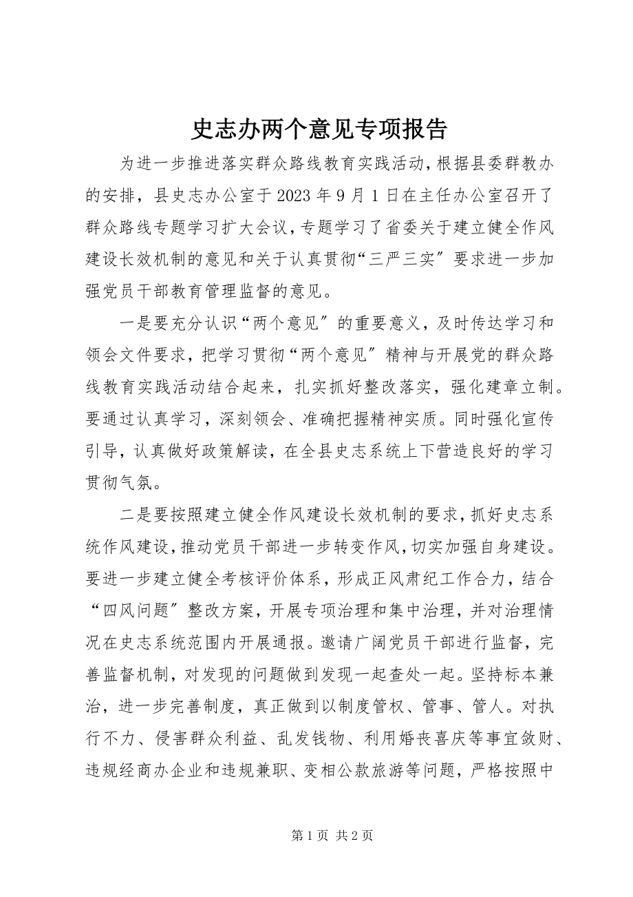 2023年史志办两个意见专项报告.docx_第1页