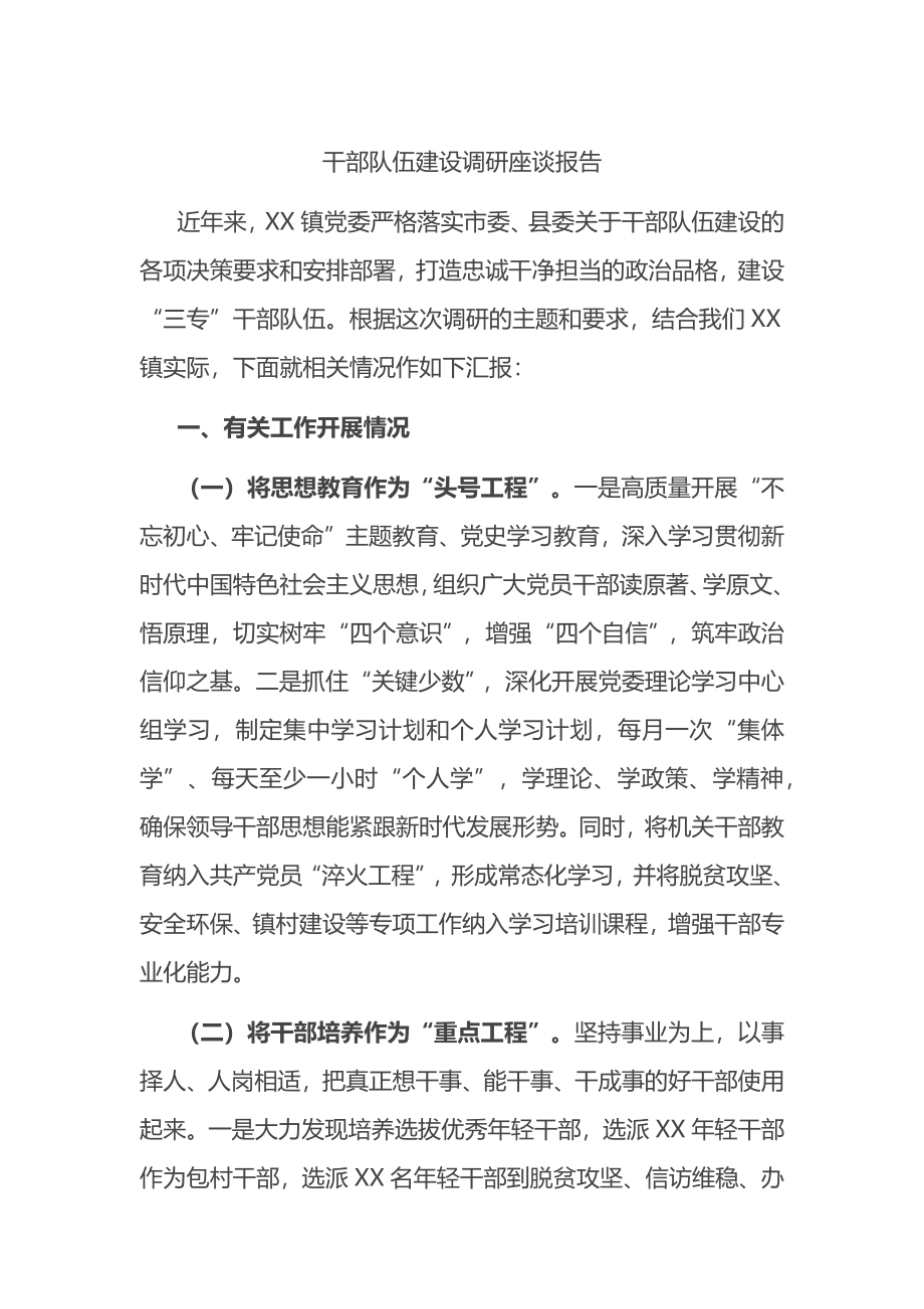 干部队伍建设调研座谈报告.docx_第1页