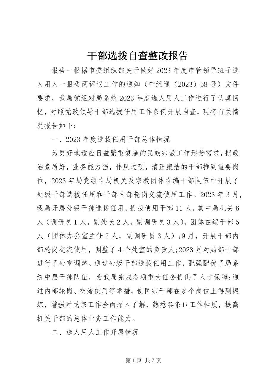 2023年干部选拨自查整改报告.docx_第1页