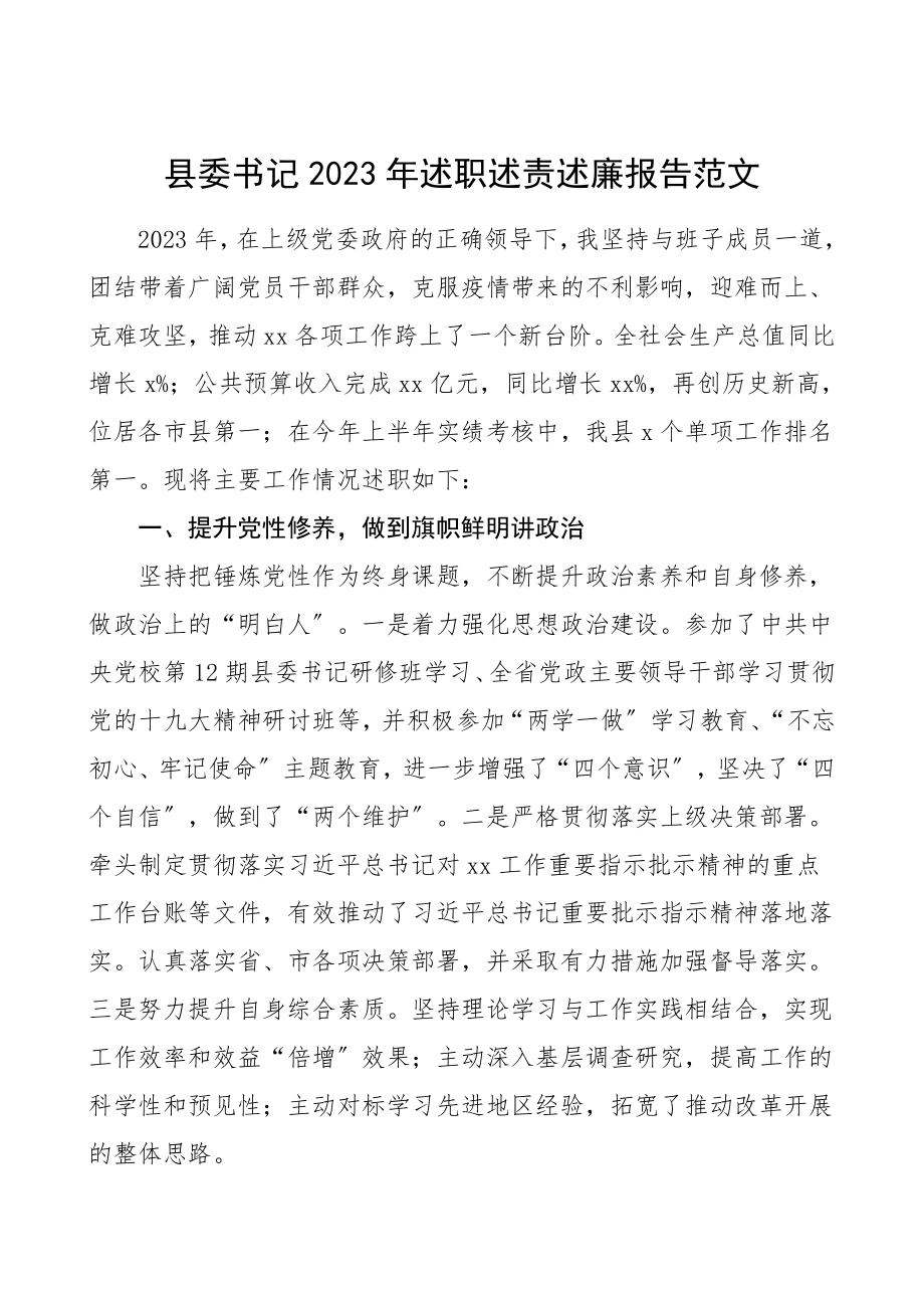 2023年述职述责述廉报告范文.doc_第1页