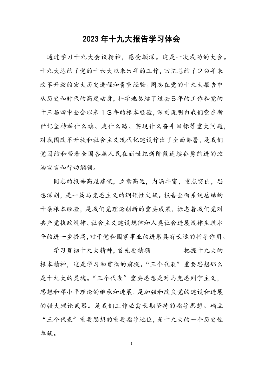 2023年十九大报告学习体会.docx_第1页