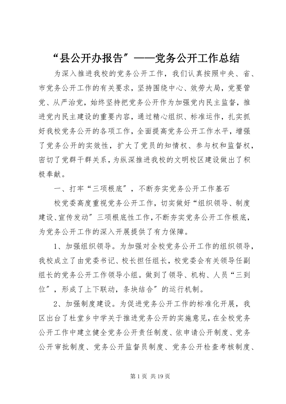 2023年县公开办报告——党务公开工作总结.docx_第1页