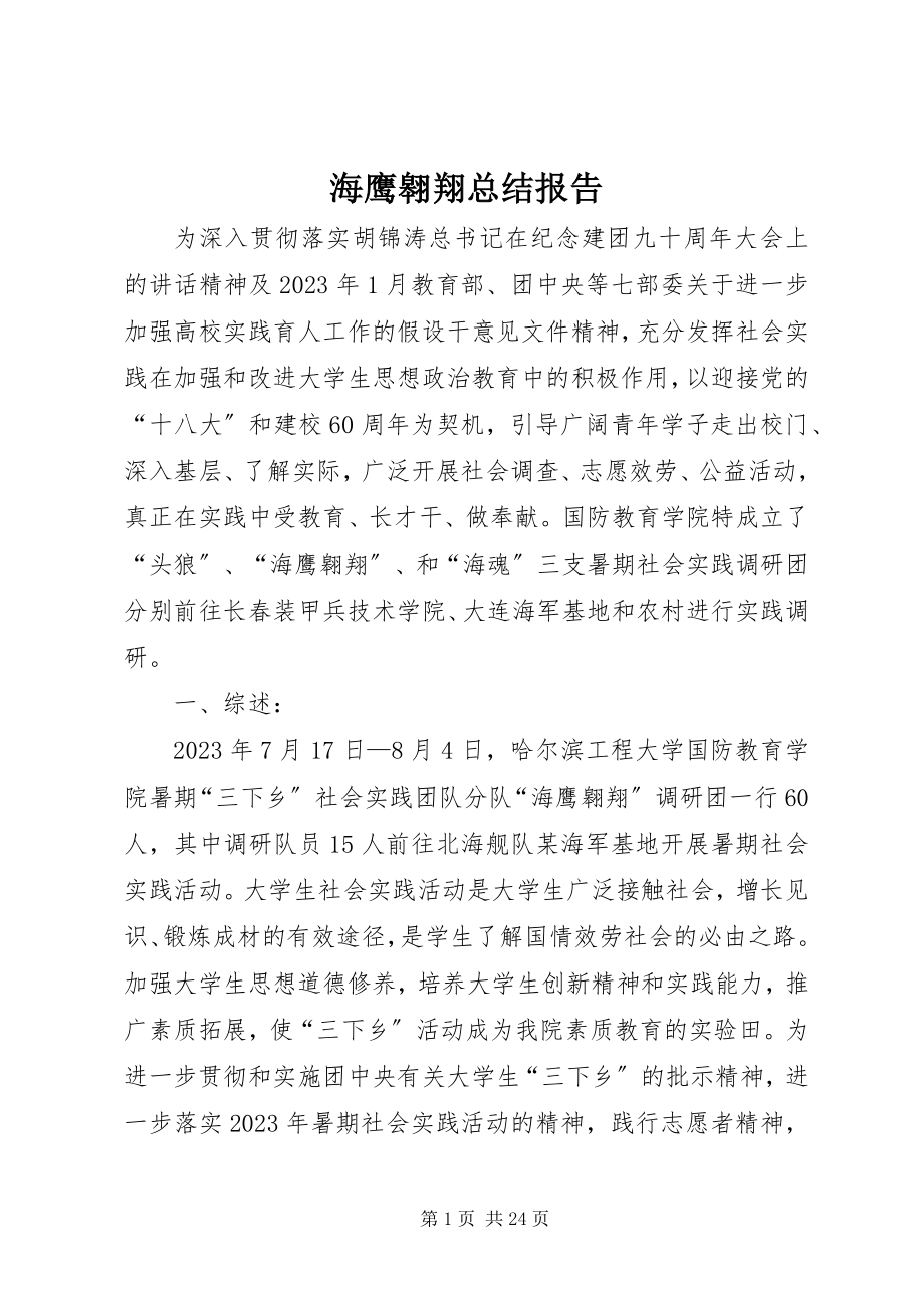 2023年海鹰翱翔总结报告.docx_第1页