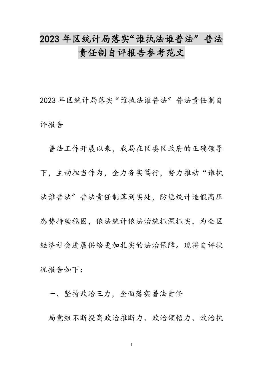 2023年区统计局落实“谁执法谁普法”普法责任制自评报告.doc_第1页