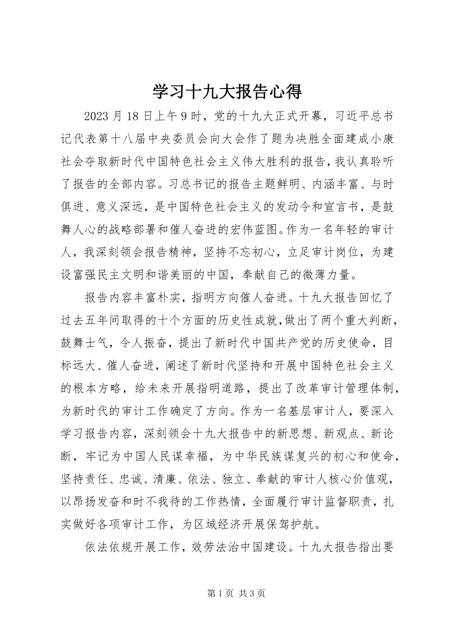 2023年学习十九大报告心得.docx_第1页