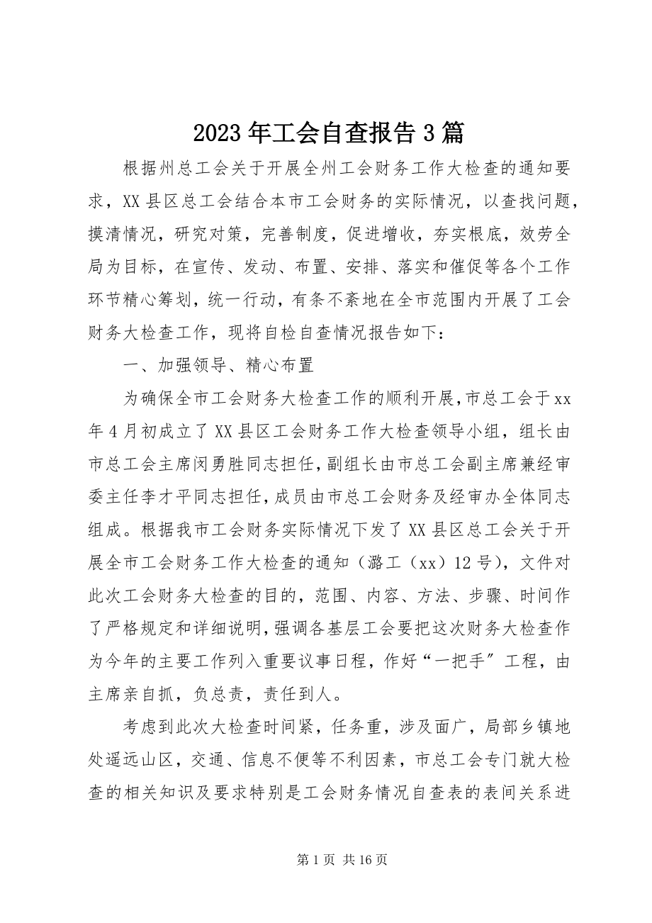 2023年工会自查报告3篇.docx_第1页