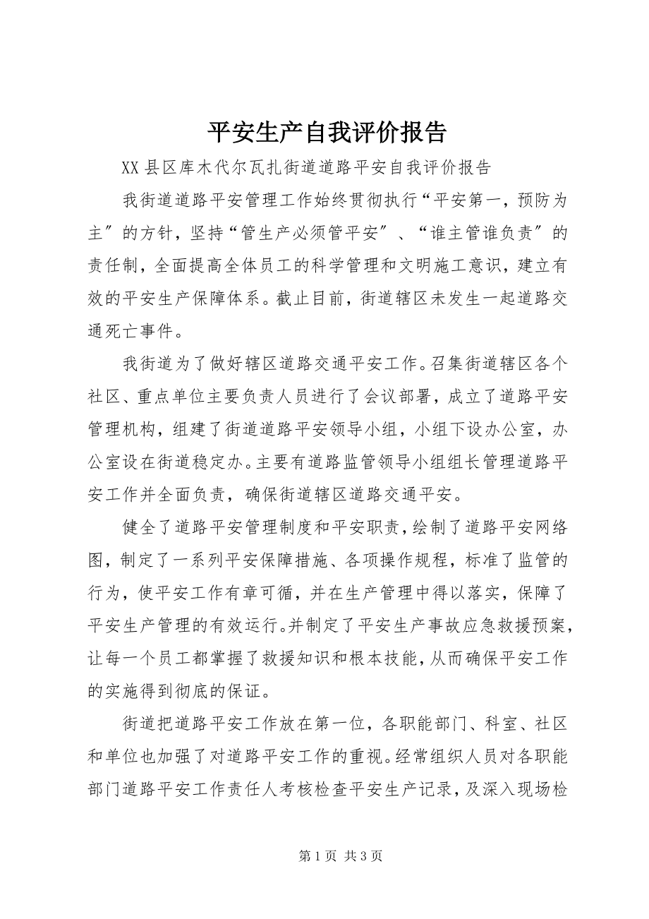 2023年安全生产自我评价报告新编.docx_第1页