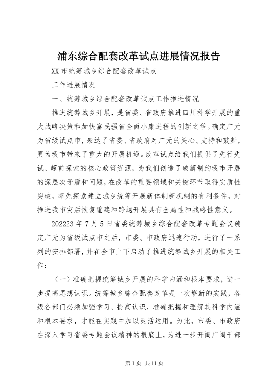 2023年浦东综合配套改革试点进展情况报告.docx_第1页