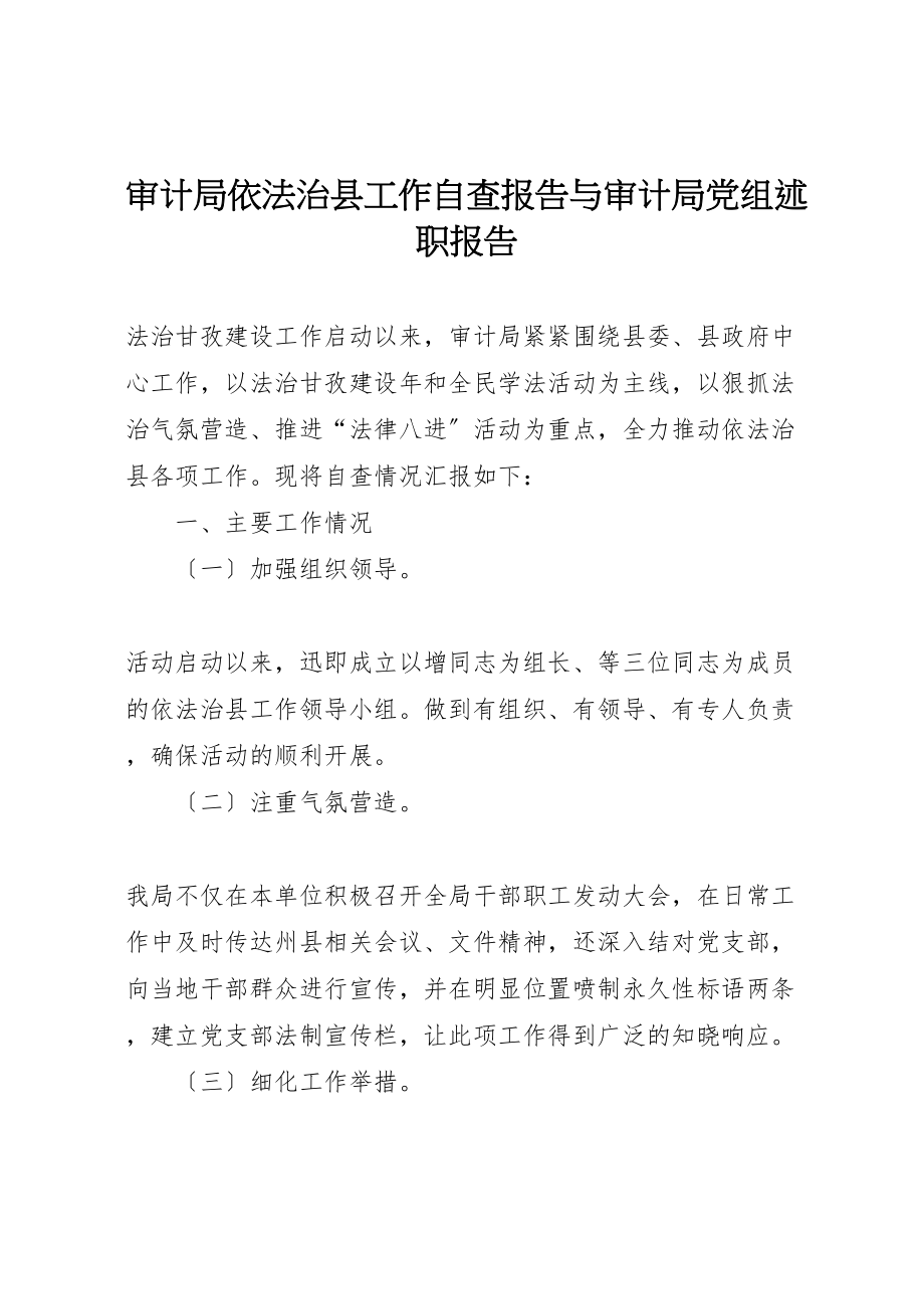 2023年审计局依法治县工作自查报告与审计局党组述职报告.doc_第1页